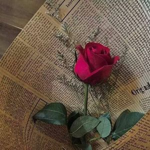 韩安旭-多幸运（0.84x变速降调）（SongLong remix）