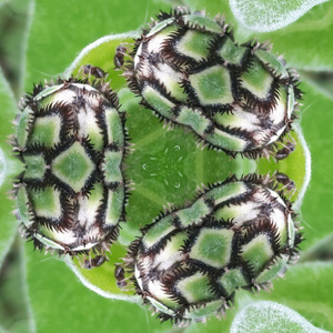 That we were creatures of love and spirit all our own