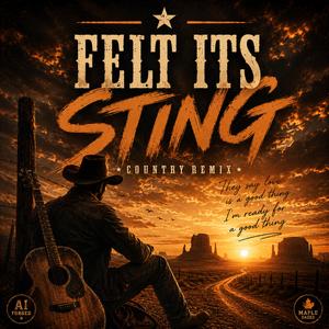 Felt its Sting (Country Remix)