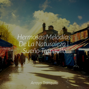 Melocotoneros Tranquilos