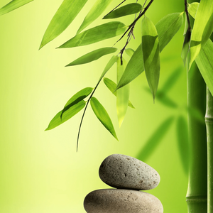 《今生的约定》