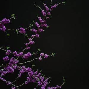 I wannt you（Prod.by Keerad）