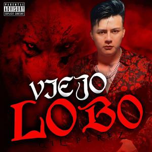 VIEJO LOBO