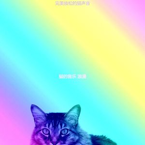 有趣可爱的猫情怀