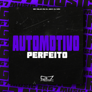 Automotivo Perfeito
