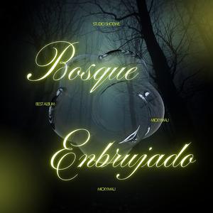 Bosque Enbrujado