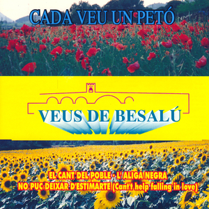 L'Àliga Negre