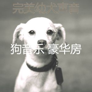 微妙的训练你的狗心情