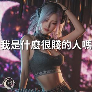 我是什麼很賤的人嗎