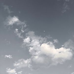 人類に見捨てられた