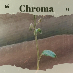 Joyous Latin Ukulele 60