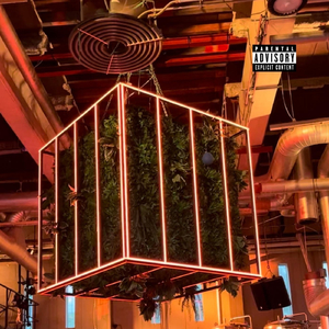 Leidse (Akoestisch) [feat. SJORSA]