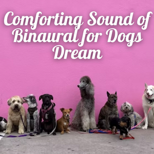 Binaural Bark Bedtime