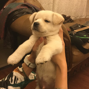 你说我听（钢琴曲）