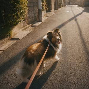 ゆれる