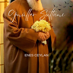 Gönüller Sultanı