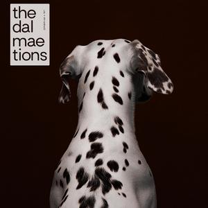 The Spot of Ponder / Le lieu de réflexion