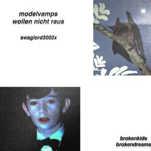 modelvamps wollen nicht raus