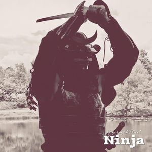 Ninja