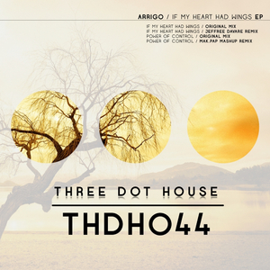 Power Of Wings (Mak.Pap Mashup Remix)