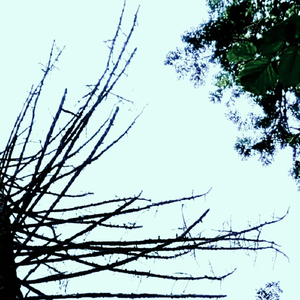 TV Screen