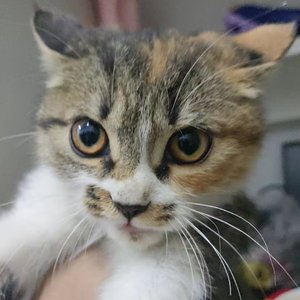 等风经过你发梢