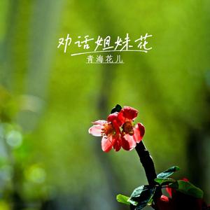 正月到了正月正