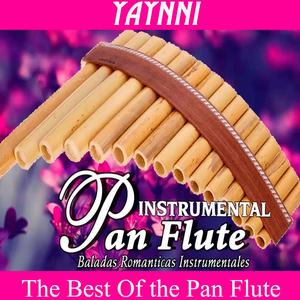 FACE IN THE PHOTOGRAPH