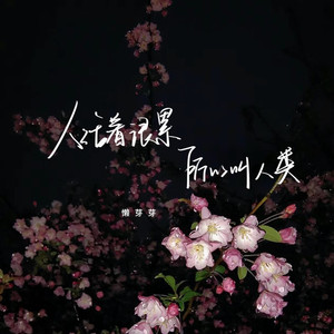 人活着很累所以叫人类 (伴奏)