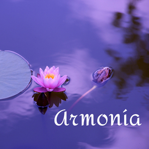 Dormir Produndamente
