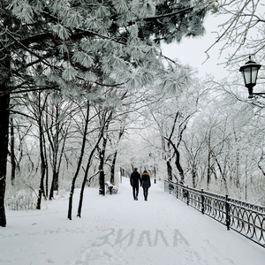 Снежинка