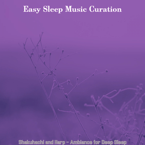 Terrific Backdrops for Sleeping Well