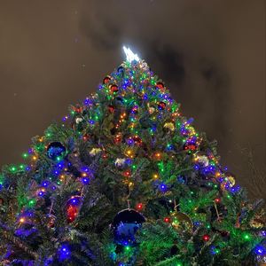 Новогодняя