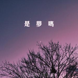 是梦吗（prod.wavytrbl）