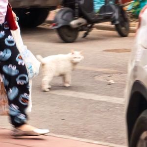 遠い記憶（遥远的回忆）