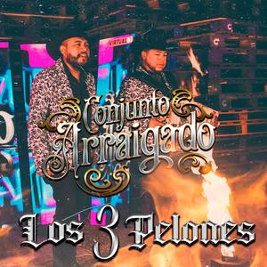 Los Tres Pelones (Versión Norteña)