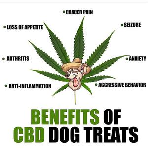 POT（Prod By Jiangbinyu）