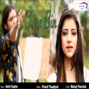 Tere Bin