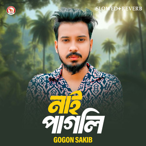 Nai Pagli (Slowed+Reverb)