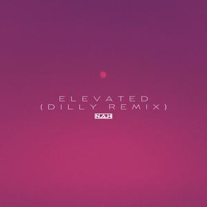 Elevated (Dilly Remix)