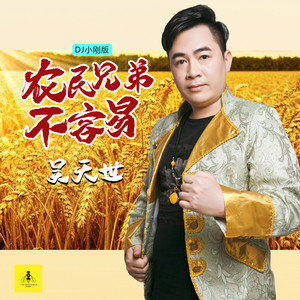 农民兄弟不容易 (DJ小刚版)