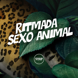 Ritmada Sexo Animal
