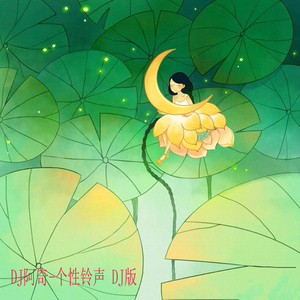 个性铃声 DJ加快版