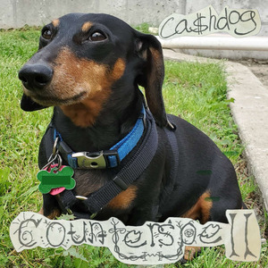 ca$hdog
