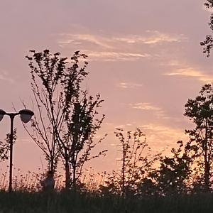 lettinggo（节选）_20220527_220301