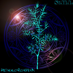 Можжевельник