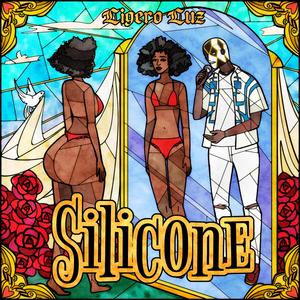 Silicone