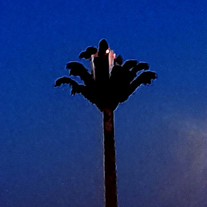 Time -expensive musiq (Extended Version)