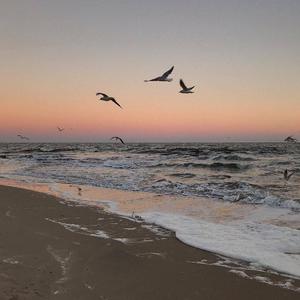 Rihanna-Diamonds（Joner / 恩赐 remix）