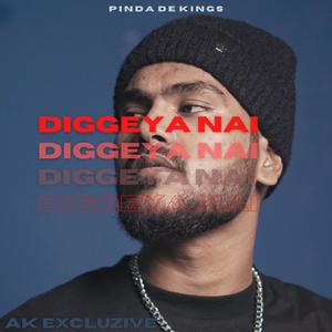 Diggeya nai (feat. AK Excluzive)